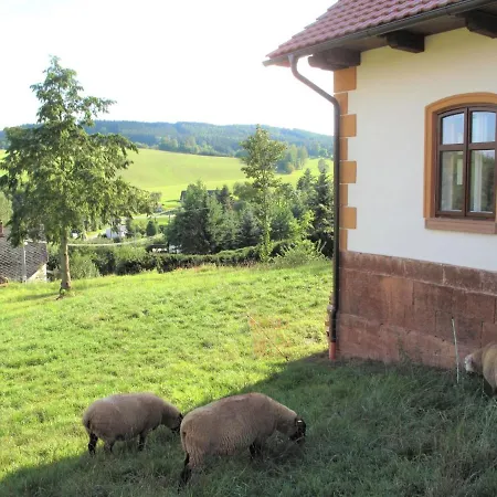 Dolni Olesnice By Interhome Ferienhaus Horni Olesnice