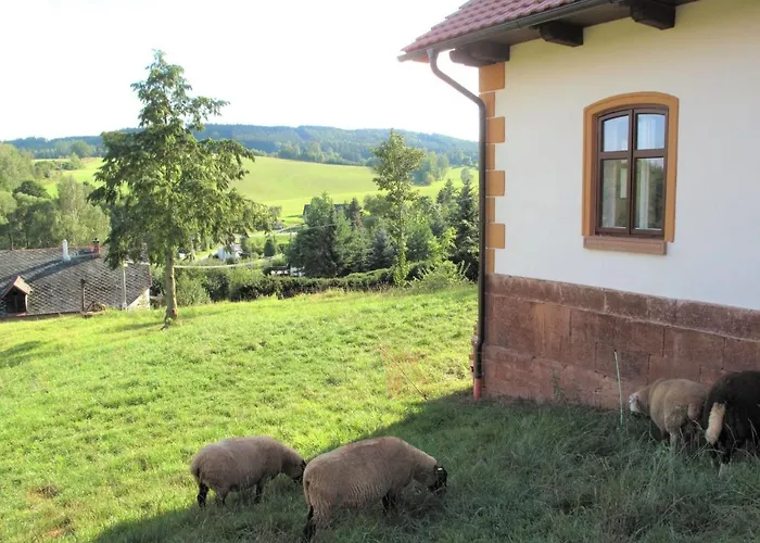 Dolni Olesnice By Interhome Tatil Evi Horni Olesnice