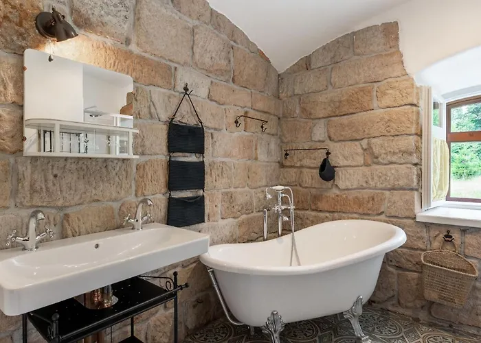 Dolni Olesnice By Interhome *